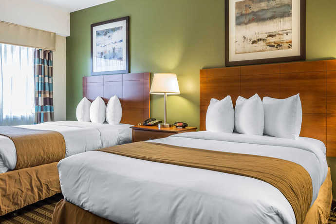 Imagen de la habitación del Hotel Quality Inn Flamingo. Foto 5