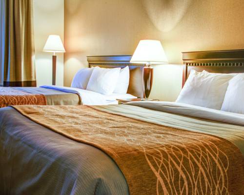 Imagen de la habitación del Hotel Quality Inn Florence. Foto 3