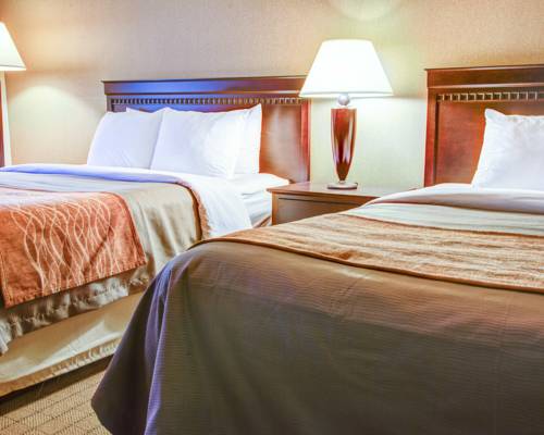 Imagen de la habitación del Hotel Quality Inn Florence. Foto 4