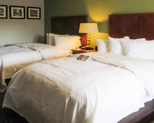 Imagen de la habitación del Hotel Quality Inn, Forsyth. Foto 3