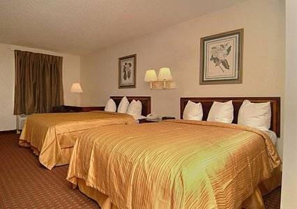 Imagen de la habitación del Hotel Quality Inn Goose Creek - Charleston. Foto 1