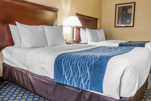 Imagen de la habitación del Hotel Quality Inn, Grand Blanc. Foto 3