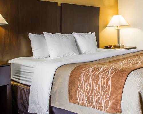 Imagen de la habitación del Hotel Quality Inn Jonesville I-77. Foto 5