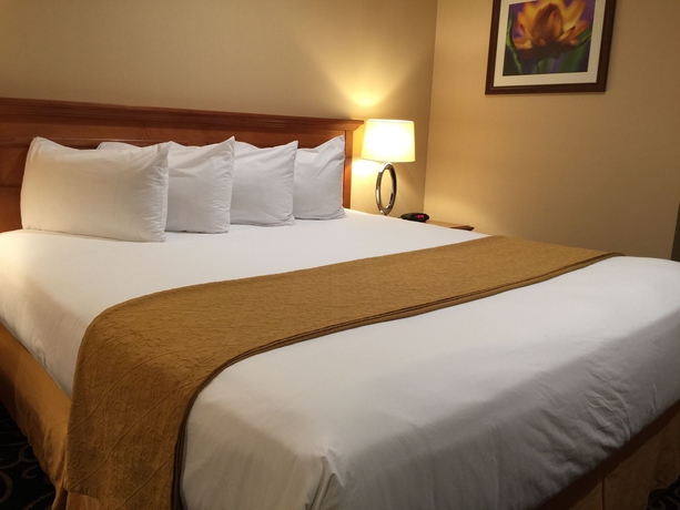 Imagen de la habitación del Hotel Quality Inn Long Beach - Signal Hill. Foto 2