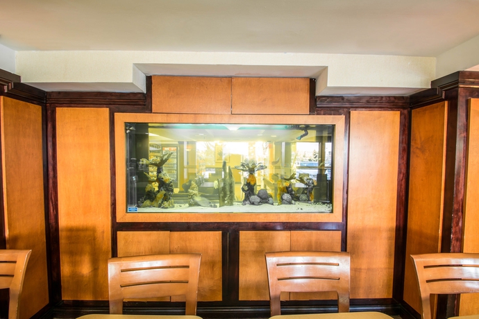 Imagen de los interiores del Hotel Quality Inn Miami Airport - Doral. Foto 13