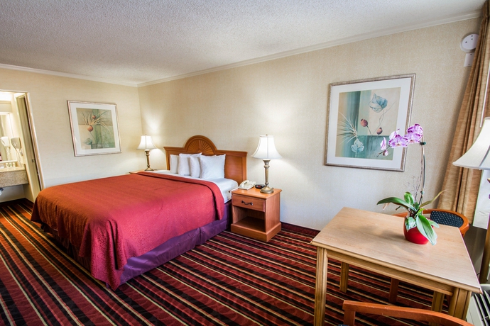 Imagen de la habitación del Hotel Quality Inn Miami South. Foto 9