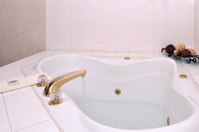 Imagen de la piscina del Hotel Quality Inn Monee I-57. Foto 14