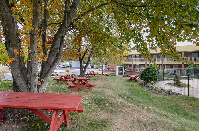 Imagen de los exteriores del Hotel Quality Inn Mt. Vernon. Foto 11