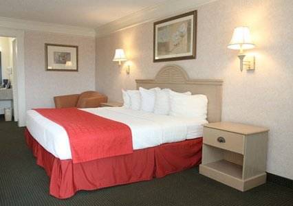 Imagen de la habitación del Hotel Quality Inn Near Lake Marble Falls. Foto 7