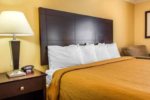Imagen de la habitación del Hotel Quality Inn Near Mountain Creek. Foto 14