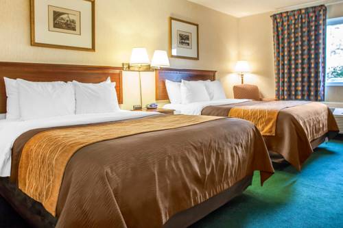 Imagen de la habitación del Hotel Quality Inn Near Toms River Corporate Park. Foto 4
