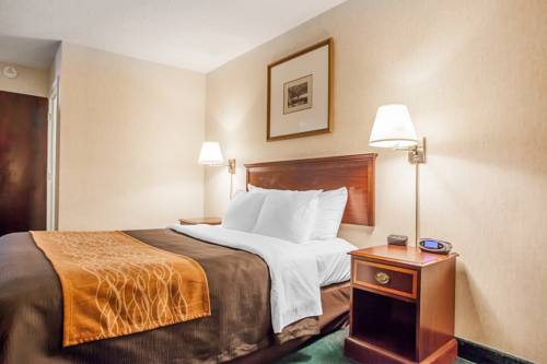 Imagen de la habitación del Hotel Quality Inn Near Toms River Corporate Park. Foto 5