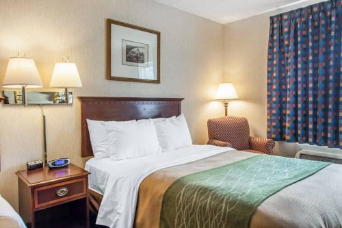 Imagen de la habitación del Hotel Quality Inn Near Toms River Corporate Park. Foto 9