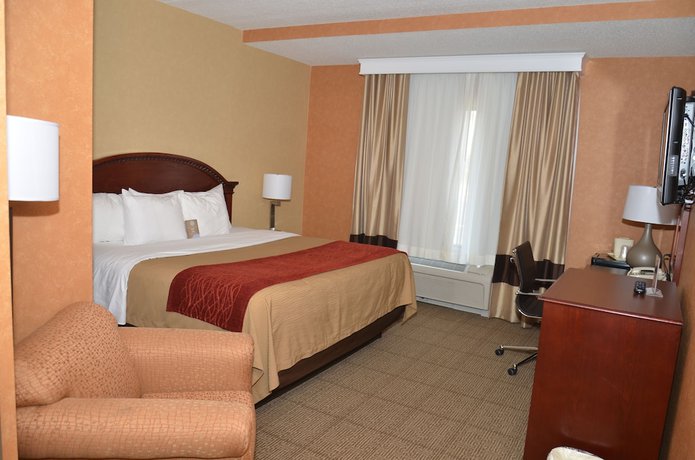 Imagen de la habitación del Hotel Quality Inn Near Walden Galleria Mall. Foto 4