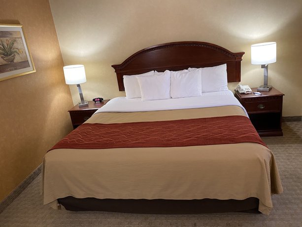Imagen de la habitación del Hotel Quality Inn Near Walden Galleria Mall. Foto 7