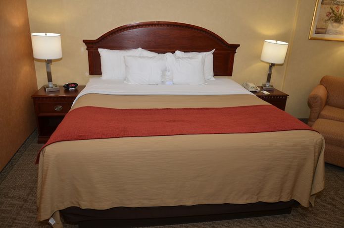 Imagen de la habitación del Hotel Quality Inn Near Walden Galleria Mall. Foto 12