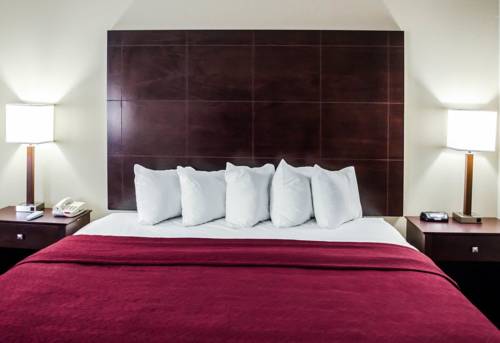 Imagen de la habitación del Hotel Quality Inn Pensacola, Pensacola . Foto 6