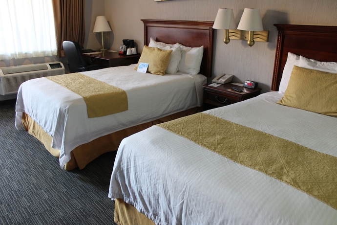 Imagen de la habitación del Hotel Quality Inn Piedras Negras. Foto 12