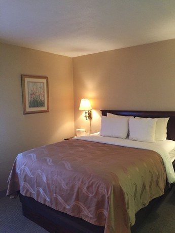Imagen de la habitación del Hotel Quality Inn Pittsburgh Airport. Foto 15