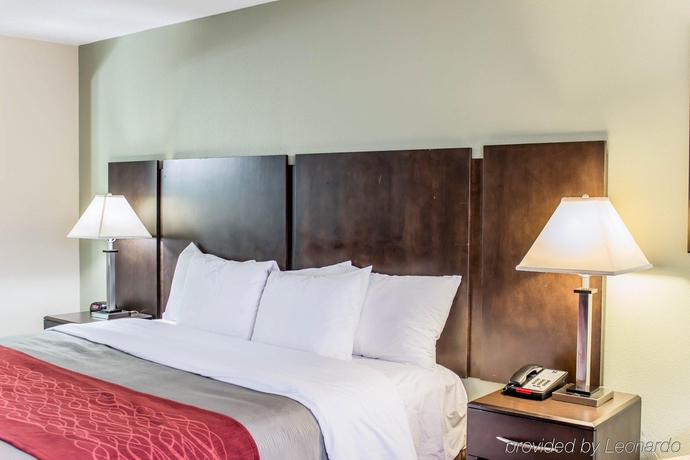 Imagen general del Hotel Quality Inn Raleigh Downtown. Foto 12