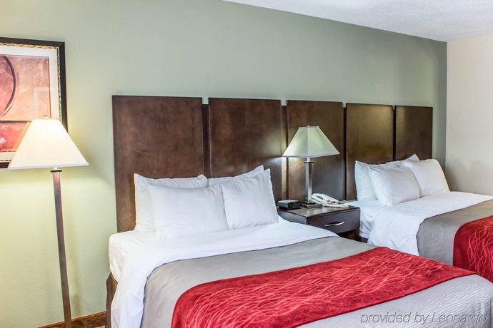 Imagen general del Hotel Quality Inn Raleigh Downtown. Foto 13