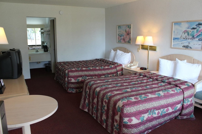 Imagen de la habitación del Hotel Quality Inn Saint Petersburg North-tampa Bay. Foto 2