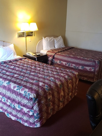 Imagen de la habitación del Hotel Quality Inn Saint Petersburg North-tampa Bay. Foto 3