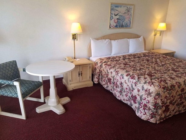 Imagen de la habitación del Hotel Quality Inn Saint Petersburg North-tampa Bay. Foto 4