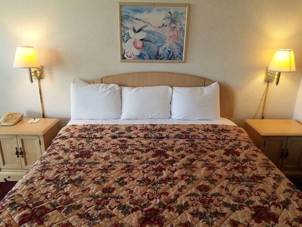 Imagen de la habitación del Hotel Quality Inn Saint Petersburg North-tampa Bay. Foto 11