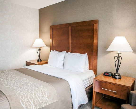 Imagen de la habitación del Hotel Quality Inn Seekonk-providence. Foto 7