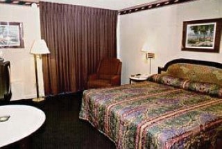 Imagen de la habitación del Hotel Quality Inn Six Flags. Foto 2