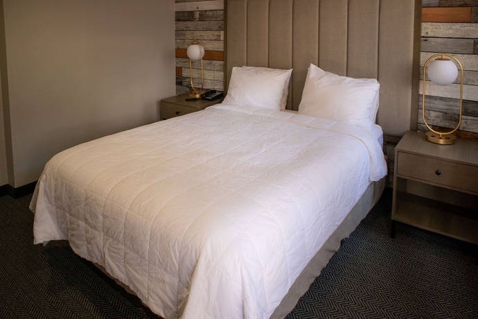 Imagen de la habitación del Hotel Quality Inn South Lake Tahoe. Foto 7