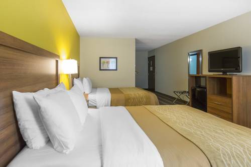 Imagen de la habitación del Hotel Quality Inn Stephens City - Winchester South. Foto 14