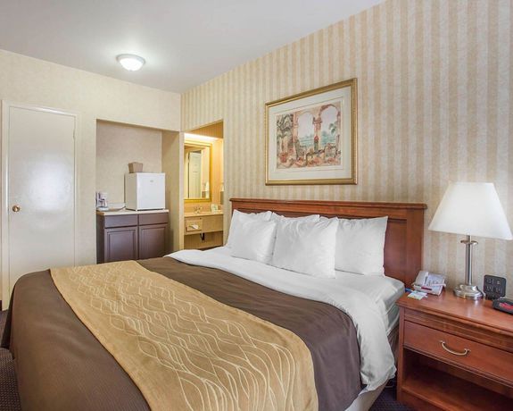 Imagen de la habitación del Hotel Quality Inn Toronto Airport. Foto 7