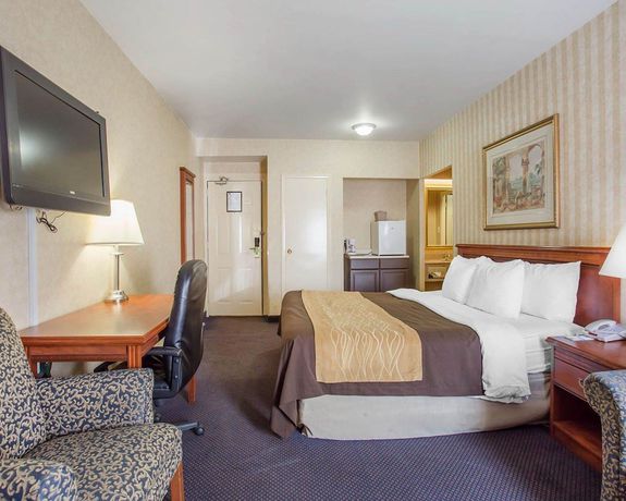 Imagen de la habitación del Hotel Quality Inn Toronto Airport. Foto 8