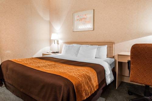 Imagen de la habitación del Hotel Quality Inn Tulalip - Marysville. Foto 4