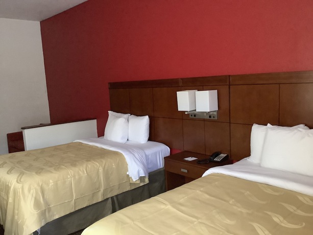 Imagen de la habitación del Hotel Quality Inn Zephyrhills - Dade City. Foto 6