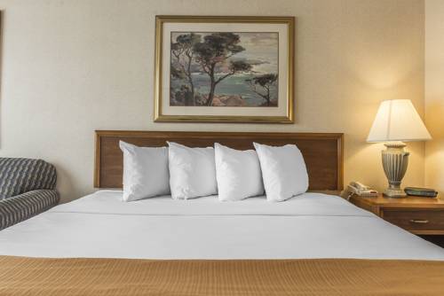 Imagen de la habitación del Hotel Quality Inn & Conference Center - Springfield. Foto 3