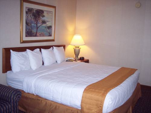 Imagen de la habitación del Hotel Quality Inn & Conference Center - Springfield. Foto 9