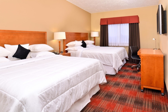 Imagen de la habitación del Hotel Quality Inn & Suites Airport. Foto 2