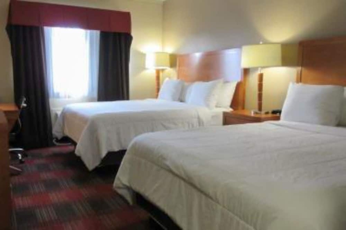 Imagen de la habitación del Hotel Quality Inn & Suites Airport. Foto 3