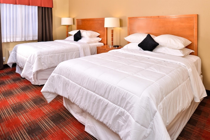Imagen de la habitación del Hotel Quality Inn & Suites Airport. Foto 19