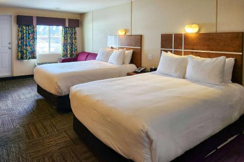 Imagen general del Hotel Quality Inn & Suites Clearwater. Foto 14