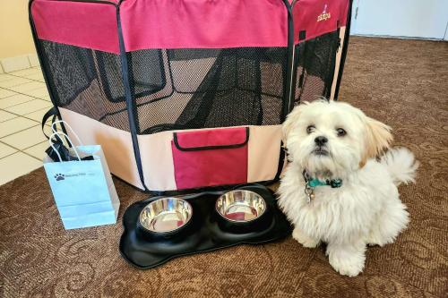 Imagen general del Hotel Quality Inn & Suites Clearwater. Foto 15