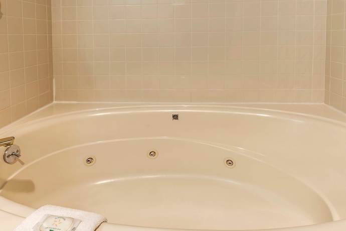 Imagen de la habitación del Hotel Quality Inn & Suites Columbia. Foto 14