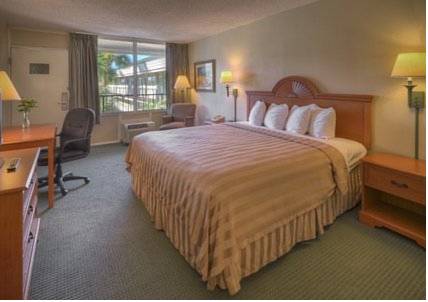 Imagen de la habitación del Hotel Quality Inn & Suites Georgetown. Foto 5