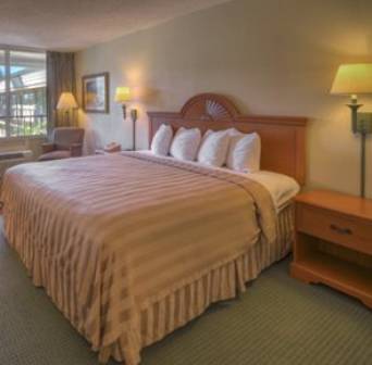 Imagen de la habitación del Hotel Quality Inn & Suites Georgetown. Foto 9