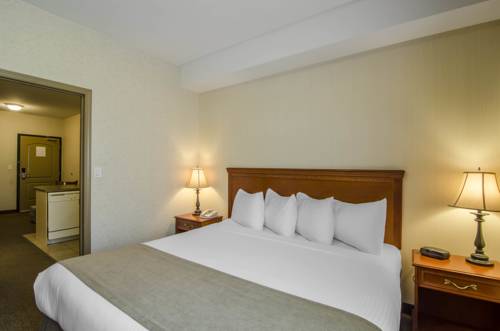 Imagen de la habitación del Hotel Quality Inn & Suites Grand Prairie. Foto 12