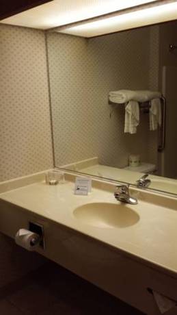 Imagen de la habitación del Hotel Quality Inn & Suites Harvey - Chicago Southland. Foto 7