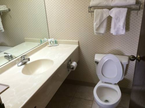 Imagen de la habitación del Hotel Quality Inn & Suites Harvey - Chicago Southland. Foto 9